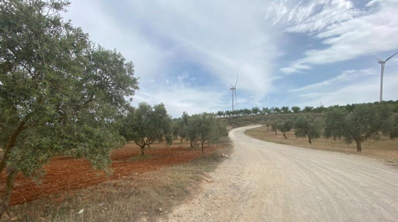 Cordova - Lucena - 8600m2