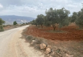 Xalet independent amb terreny en venda a la España, Lucena, ref.: TR288139 foto