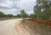 Xalet independent amb terreny en venda a la España, Lucena, ref.: TR288139 foto