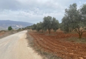 Xalet independent amb terreny en venda a la España, Lucena, ref.: TR288139 foto