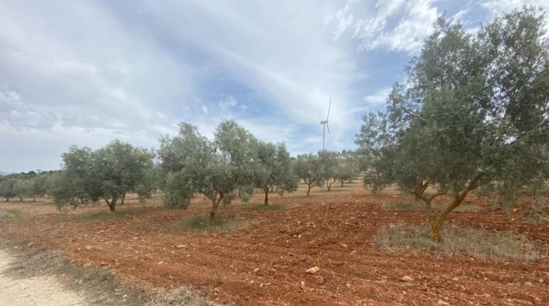 Cordova - Lucena - 8600m2