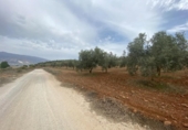 Xalet independent amb terreny en venda a la España, Lucena, ref.: TR288139 foto