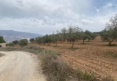 Xalet independent amb terreny en venda a la España, Lucena, ref.: TR288139 foto