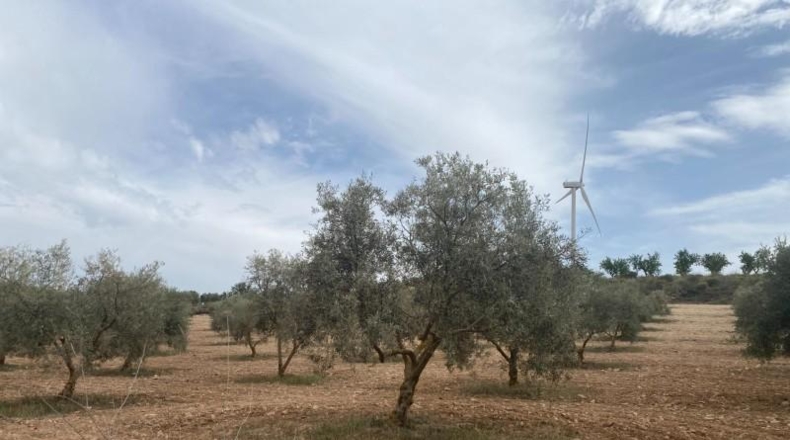 Cordova - Lucena - 8600m2