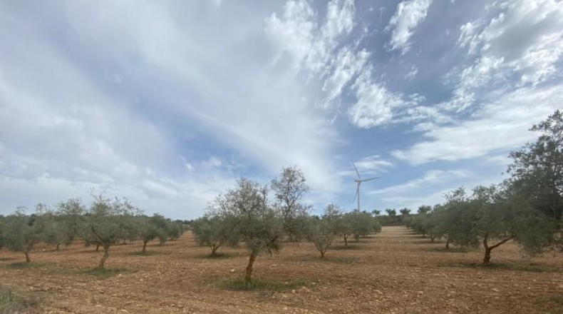 Cordova - Lucena - 8600m2