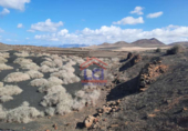 Terreno no urbanizable en venta en la España, Teguise, ref: TR310881 foto