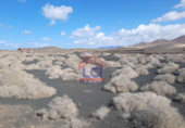 Terreno no urbanizable en venta en la España, Teguise, ref: TR310881 foto