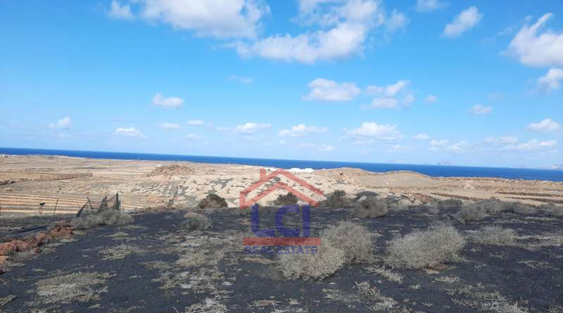 Las Palmas - Teguise - 12836m2