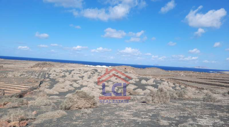 Las Palmas - Teguise - 12836m2