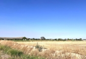 Terreno no urbanizable en venta en la España, Villanueva de la Serena, ref: TR331438 foto