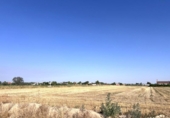 Terreno no urbanizable en venta en la España, Villanueva de la Serena, ref: TR331438 foto