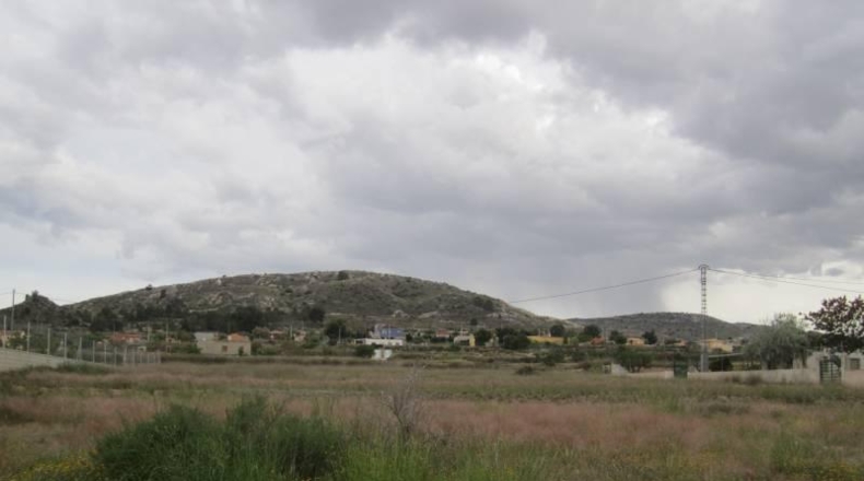 Alicante - Aspe - 4700m2
