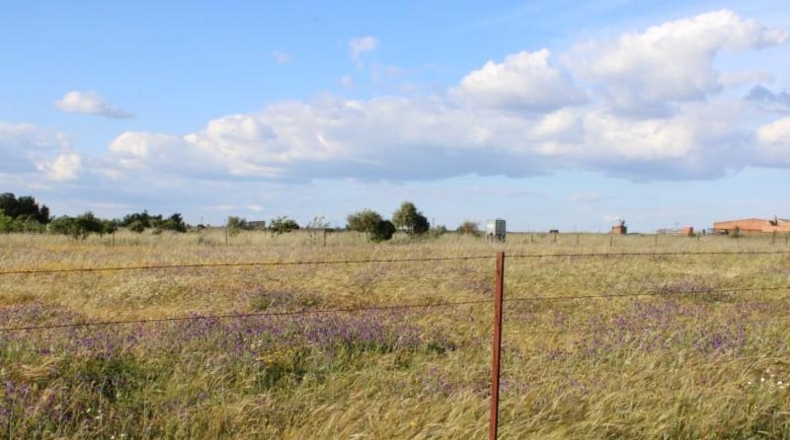 Cáceres - Sierra de Fuentes - 25000m2