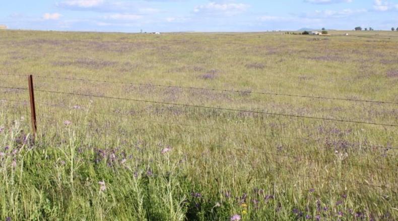 Cáceres - Sierra de Fuentes - 25000m2