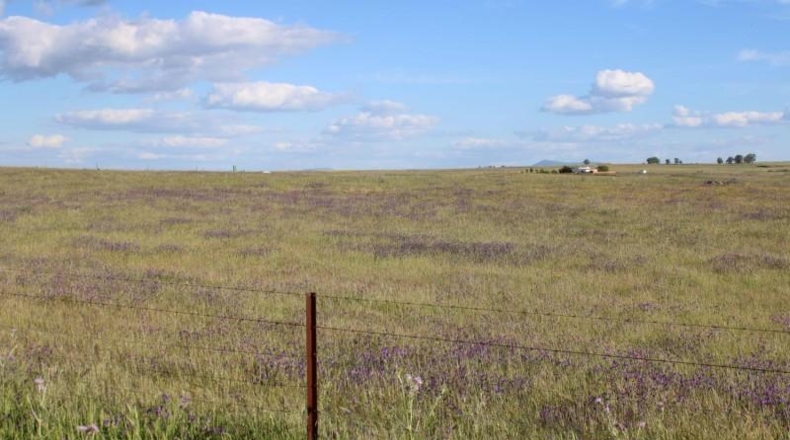 Cáceres - Sierra de Fuentes - 25000m2