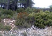 Suelo urbano en venta en la España, Pontons, ref: TR130493 foto