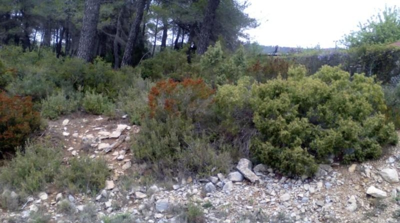 Tarragona - Querol - 1000m2