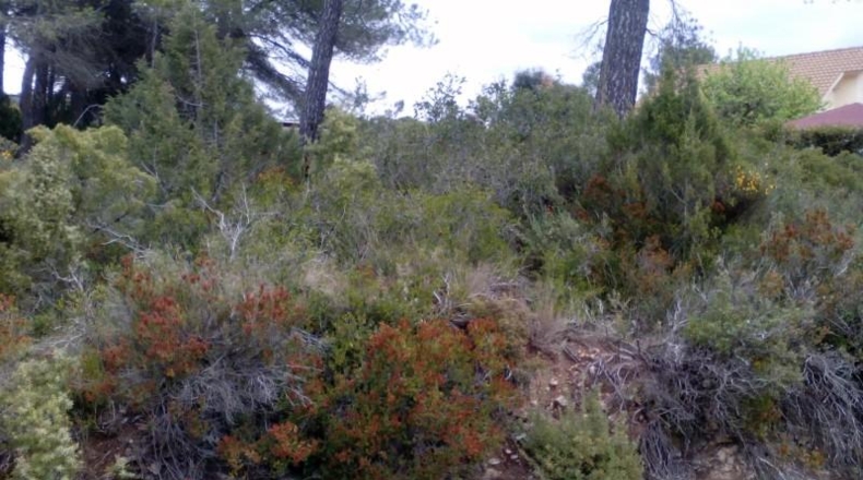 Tarragona - Querol - 1000m2