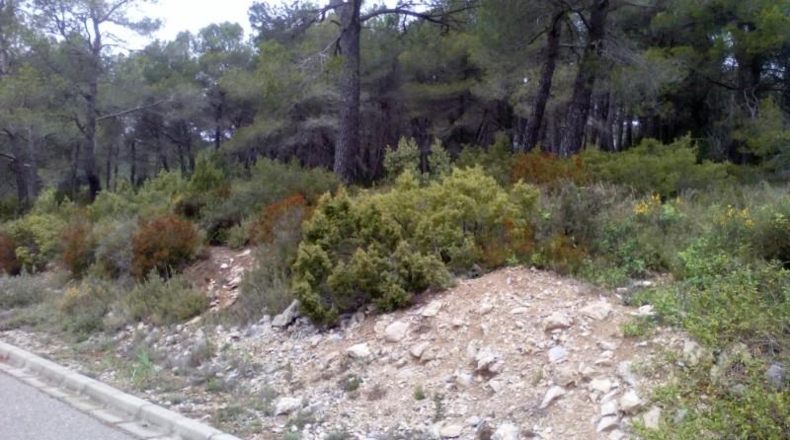 Tarragona - Querol - 1000m2