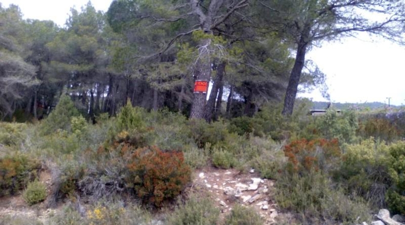 Tarragona - Querol - 1000m2