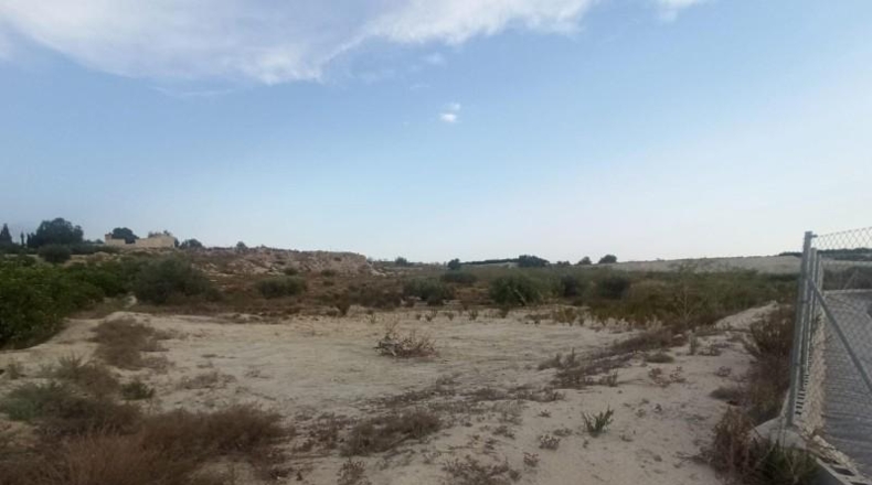 Murcia - Alguazas - 7537m2