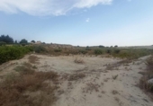 Detached villa with land for sale on España, Alguazas, ref: TR300079 photo