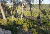Suelo urbano en venta en la España, Olivella, ref: TR124411 foto
