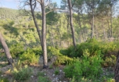 Suelo urbano en venta en la España, Olivella, ref: TR124411 foto