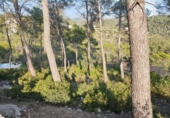 Suelo urbano en venta en la España, Olivella, ref: TR124411 foto