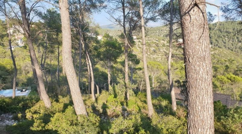 Barcelona - Olivella - 514m2