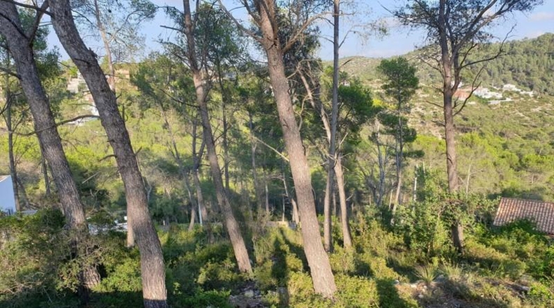 Barcelona - Olivella - 514m2