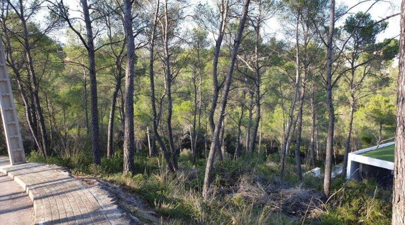 Barcelona - Olivella - 514m2
