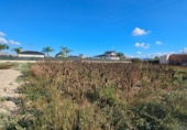 Non-developable land for sale on España, Santomera, ref: TR115183 photo