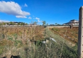 Non-developable land for sale on España, Santomera, ref: TR115183 photo