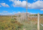 Non-developable land for sale on España, Santomera, ref: TR115183 photo