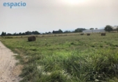Отдельно стоящий дом с участком на продажу в городе Carracedelo Фото