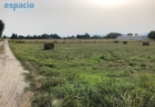 Отдельно стоящий дом с участком на продажу в городе Carracedelo Фото