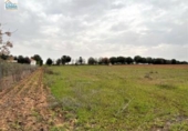 Terreno no urbanizable en venta en la España, Mengabril, ref: TR122608 foto