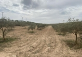 Terreno no urbanizable en venta en la España, Padul, ref: TR302865 foto