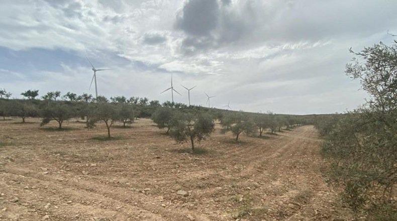 Granada - Padul - 8600m2
