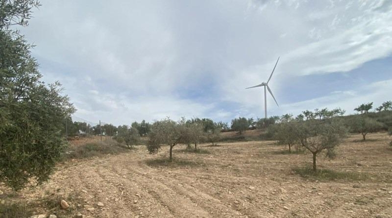 Granada - Padul - 8600m2