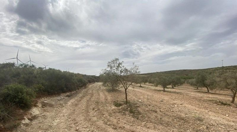 Granada - Padul - 8600m2