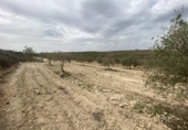 Terreno no urbanizable en venta en la España, Padul, ref: TR302865 foto