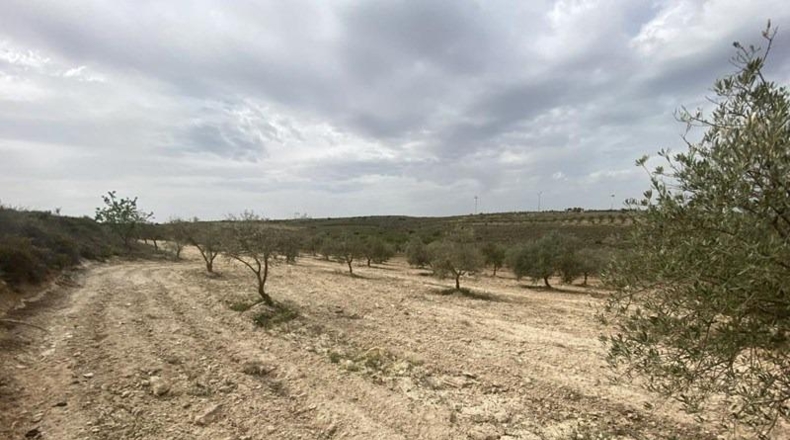 Granada - Padul - 8600m2