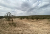 Terreno no urbanizable en venta en la España, Padul, ref: TR302865 foto
