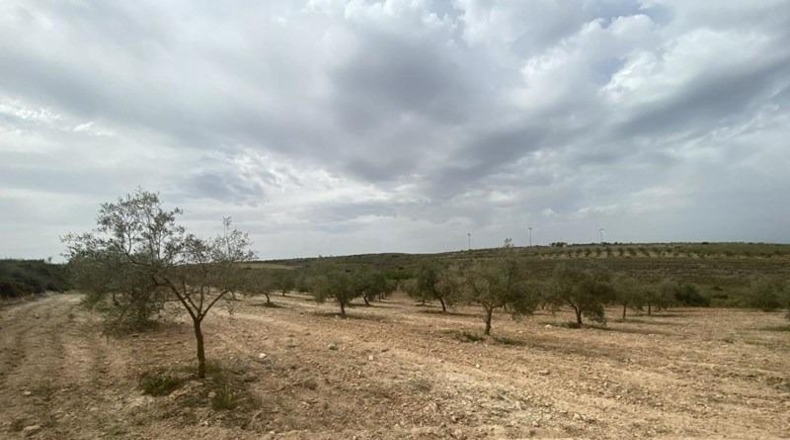 Granada - Padul - 8600m2