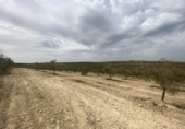 Terreno no urbanizable en venta en la España, Padul, ref: TR302865 foto