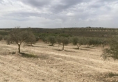 Terreno no urbanizable en venta en la España, Padul, ref: TR302865 foto