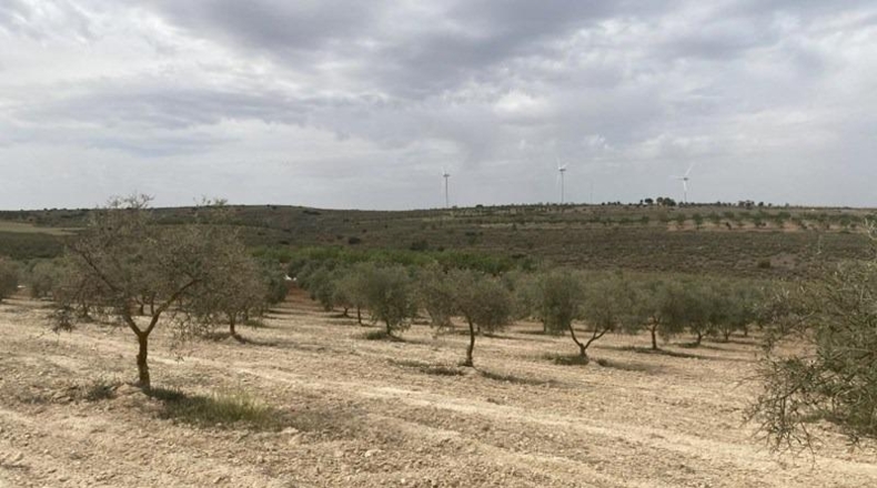 Granada - Padul - 8600m2
