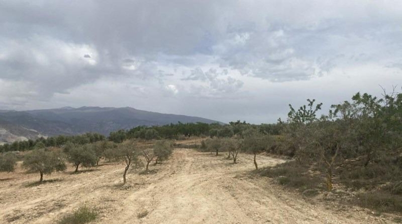Granada - Padul - 8600m2